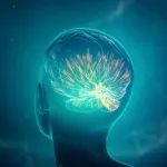 Immunity：傅斌清/魏海明团队揭示母亲孕期病毒感染导致后代神经发育障碍的机制