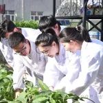 祝贺！东北农业大学“85后”教授