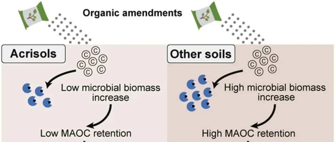 全球尺度Meta分析丨SOIL BIOL BIOCHEM：土壤pH值和降水对不同土壤类型有机物料添加的有机碳保留的控制