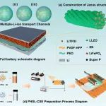浙理工胡毅教授 Nano Energy：基于异质界面工程Janus结构复合纳米纤维膜实现高性能全固态锂金属电池