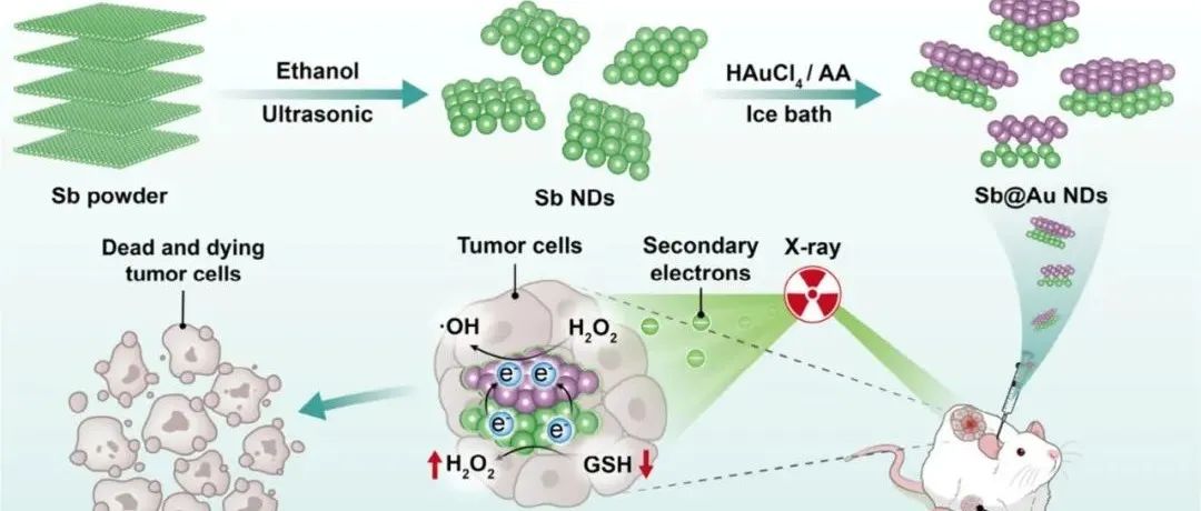 【Nano Letters】用于增敏放射免疫治疗的量子大小 Sb@Au 肖特基异质结构