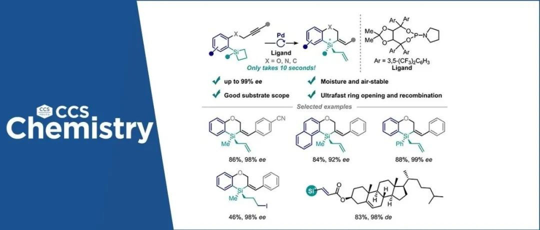 【CCS Chem.】杭州师范大学徐利文：超高效构建硅手性杂环的钯催化硅-碳键重构反应
