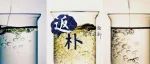 研究生意外配出自恢复液体，推动重新思考热力学界限