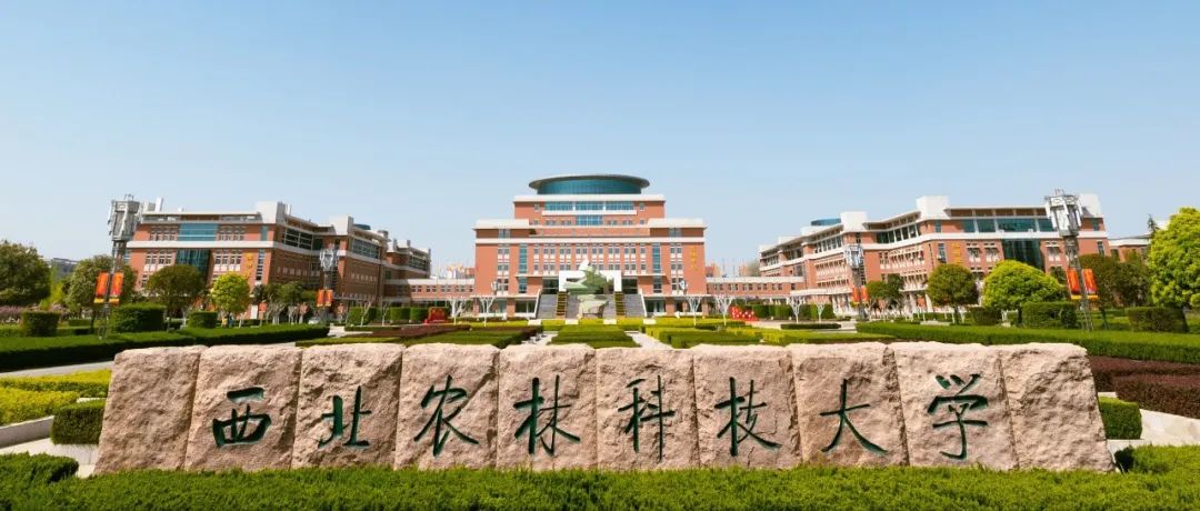 西北农林科技大学“80后”副校长团队在植物学一区Top期刊上发表研究成果