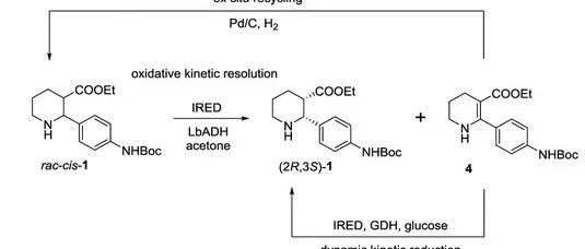 Enzymatic Oxidative Kinetic Resolution