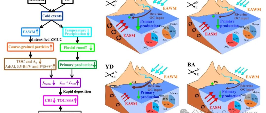 《QSR》报道中国海洋大学最新成果：末次冰消期以来东海内陆架沉积有机碳埋藏演化及其控制机制