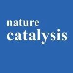 研究前沿：钴催化-叔硝基烷烃/药物研发 | Nature Catalysis