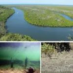 Limnology and Oceanography特刊| 水生生态系统碳封存的研究进展与挑战！