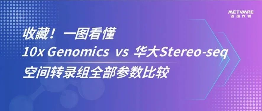收藏！一图看懂 10x Genomics vs 华大Stereo-seq 空间转录组全部参数比较