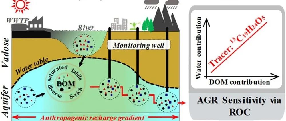 【视点】地大（北京）、北京环科院和天大合作成果：含水层有机质分子沿人为补给梯度的碳同位素特征