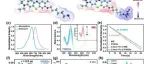 JACS | 吡唑酮修饰的光敏剂用于精准细胞膜破裂以增强癌症免疫疗法