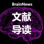 龚高浪课题组发现人类左右半脑的功能偏侧化程度与智力水平相关