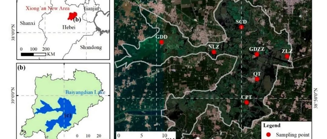 【文献精选】Ecol. Inform.|基于机器学习的Sentinel-2影像城市水体季节溶解氧信息提取：白洋淀开放获取应用