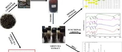 不同商业等级绿茶提取物成分及抗氧化性能的比较研究