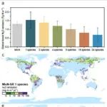华东师范大学周小奇教授研究团队在National Science Review上发现植物多样性增强可减少全球森林土壤氧化亚氮排放