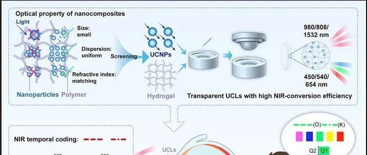 Cell | 突破人类视觉极限！我国学者开发红外隐形眼镜，解锁"红外视觉"超能力