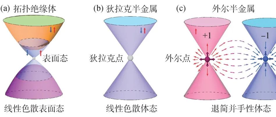 先进表征与测量——让动量空间拓扑态绽放光彩