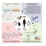 Cell Genomics｜复旦大学樊少华/李晋/黄河发现人类身高和代谢共进化的遗传基础
