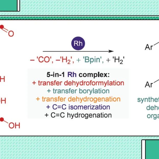 【JACS】Pawe&#322; Dydio团队：单一催化体系，实现多达五步接力催化
