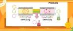 【JACS】中大周东东/林锐标/张杰鹏：反转苯/环己烯/环己烷吸附选择性用于环己烯甚至多组分一步纯化