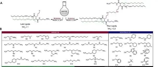 【JACS】Thor和Loki哪家强？多组分反应构建肺靶向mRNA递送脂质