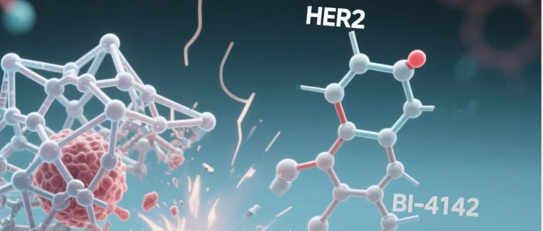 OPRD｜选择性HER2抑制剂BI-4142的放大工艺与关键中间体公斤级合成