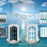 山东第一医科大学李晨蔚团队Sci. Bull.：高浓度盐水脱盐新突破：仿生太阳能蒸发器实现零液体排放