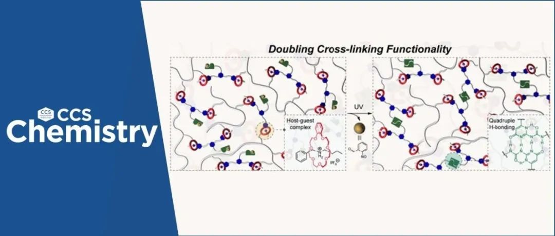 【CCS Chem.】上海交通大学颜徐州课题组：光诱导的超分子聚合物网络交联官能度倍增