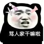 把“国骂”写在论文中，这是有多大仇