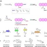 【Nat. Commun.】厦门大学袁吉锋教授团队：开发新型二元醇的生物合成思路