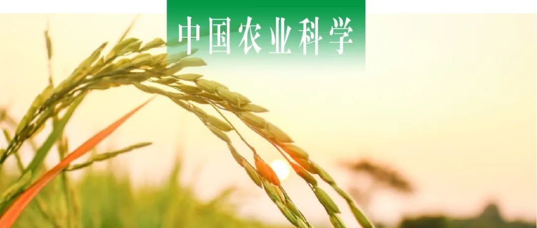 中国农业科学｜ 福建农科院水稻所杨德卫课题组筛选并鉴定稻瘟病抗病蛋白Pigm-1互作蛋白