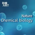 Nat&#160;Chem Biol |&#160;刘建钊/王金凯团队合作揭示细胞核内卫星RNA&#160;m&#8310;A修饰调控卫星区域转录以及细胞有丝分裂的新机制