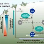 Journal of Ecology | 成都生物所尹华军团队在森林根系分泌物化学特性介导的根际养分获取策略研究中获新进展
