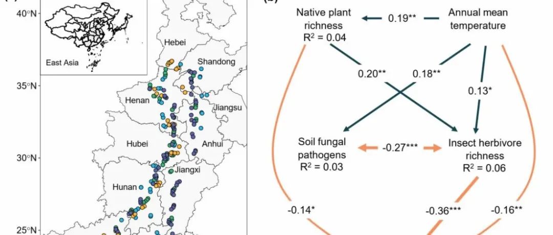 华中农业大学卢新民课题组《Ecology Letters》最新成果！