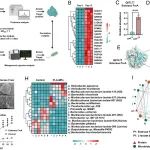 PNAS | 聚乳酸作为碳源进入碳循环可重塑肠道内源代谢