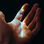 原来「人死如灯灭」是真实的？最新研究：生物超弱光子发射（UPE）可以反映生命活力，活体小鼠「光芒」更显著，应激情况下植物也更亮