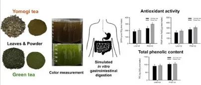 绿茶与蓬蒿茶的总多酚含量及抗氧化活性比较研究