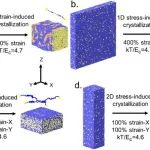 南京大学胡文兵教授课题组 Polymer：高分子薄膜成型的应力松弛调控机制