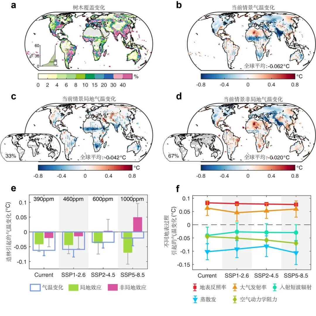 Nature Communications | 朴世龙院士团队揭示CO2浓度升高将削弱全球造林的生物物理降温效益