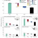 Science&#8194;Bulletin | 青藏高原实现了温室气体的净吸收