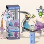 厦门大学汪婷课题组Angew.：自旋调控促进非自由基高级氧化研究方向的新进展