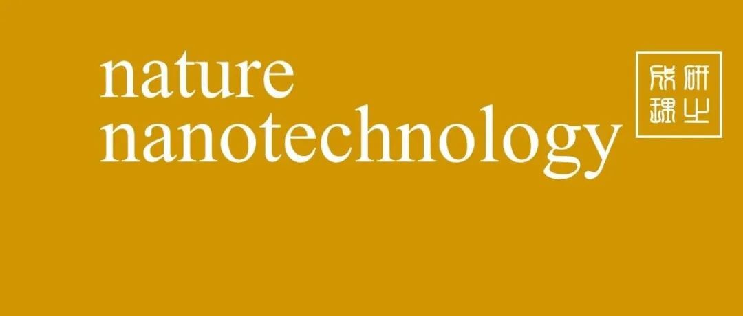 国家纳米科学中心，Nature Nanotechnology！