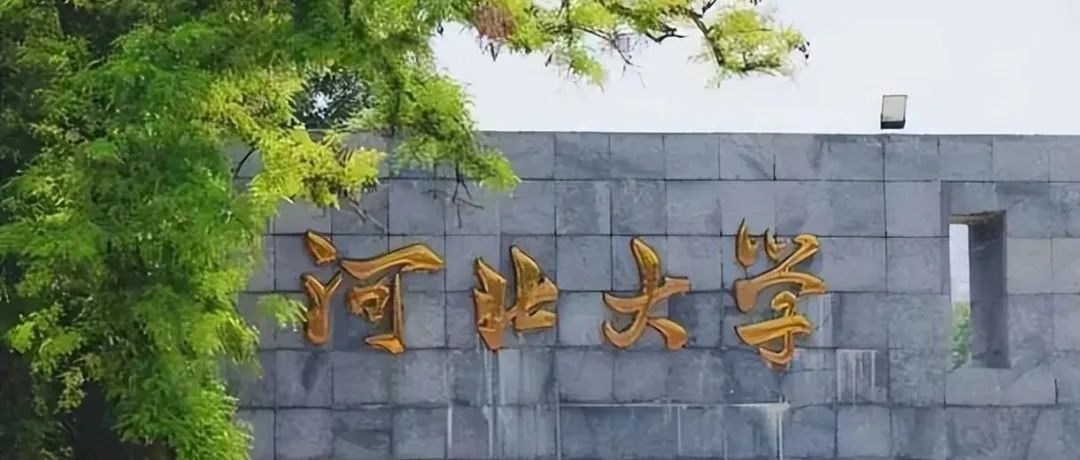 打破校史！河北大学在顶级期刊（IF=54.6）发表论文