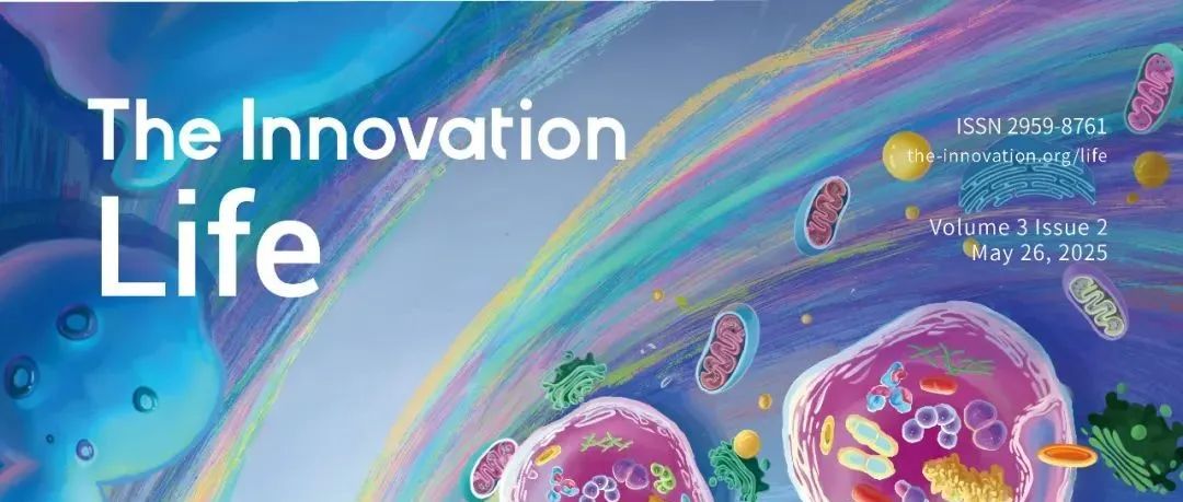 The Innovation Life | Volume 3 Issue 2 Live Now