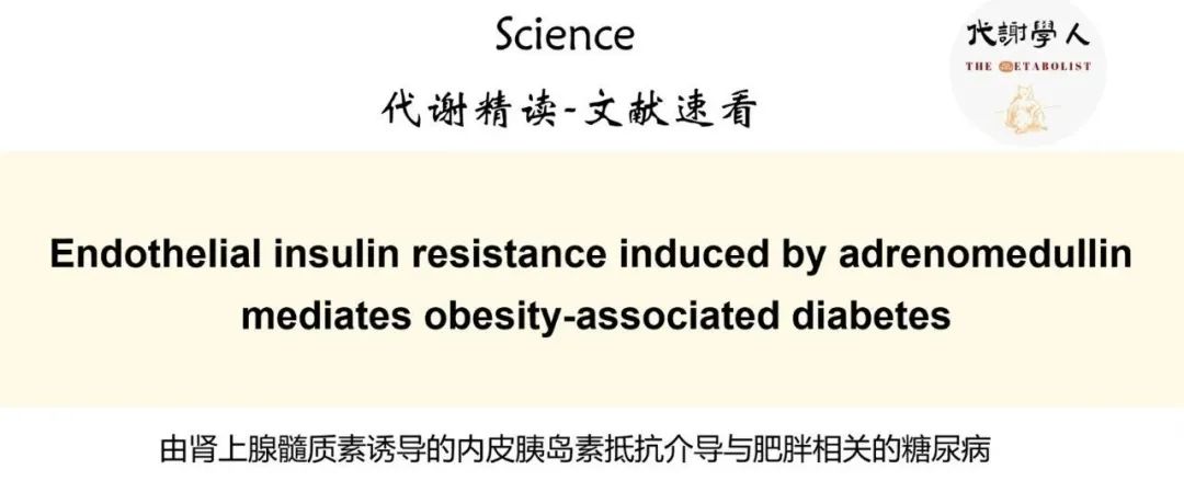 【视频号】Science：胰岛素不在服务区，原来血管遭“限流”（附文字版链接）