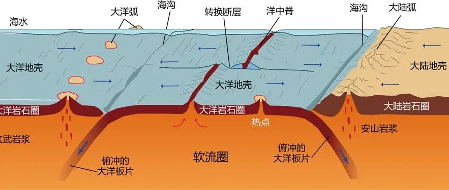 解读经典 || 板块构造理论的诞生