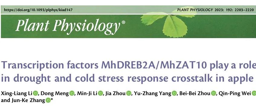 文献分享| 苹果抗性砧木通过MhDREB2A-MhZAT10模块偶联响应并调控干旱与低温胁迫的分子机制