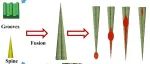 鲁东大学陈雪叶课题组《JMCA》：仿生锥形-梯度槽耦合表面：实现高效油水分离