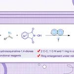 【Chem. Sci.】通过光催化[4+2]骨架编辑策略实现收敛式和发散性合成二氢异喹啉1,4-二酮化合物