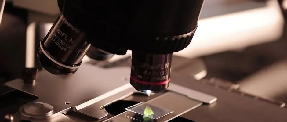 Nature: 突破性的科学发现越来越难 ...